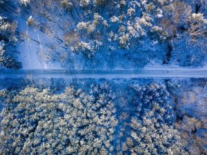 Transport in winter. Snowy road and forest in winter. Transportation in snow.