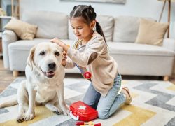 little-cute-girl-in-casual-attire-playing-doctor-w-2024-11-07-16-37-22-utc (1)