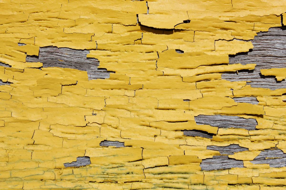 yellow-textured-decaying-paint-background-2025-01-08-04-05-22-utc (1)
