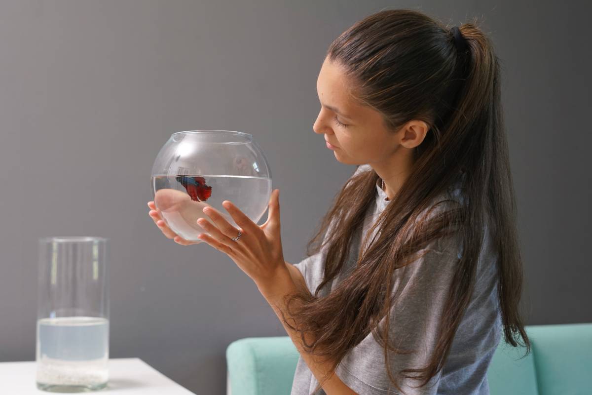 A woman carefully holds an aquarium bowl with colorful fish while observing it in a well-lit indoor setting