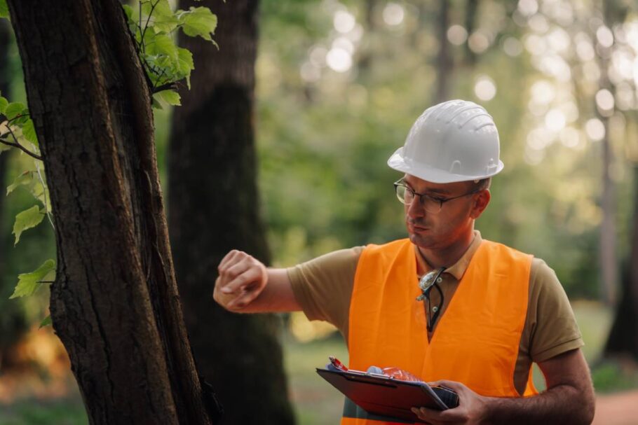 Forestry engineer wearing safety helmet and vest, inspecting trees in a lush forest, taking notes on a clipboard and checking the time on his watch